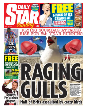 Cover of Daily Star Sunday