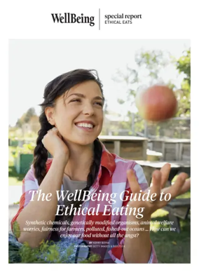 Cover of WellBeing