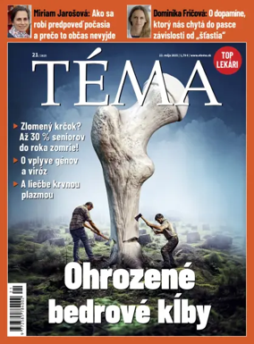 Cover of Téma