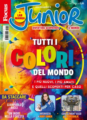 Cover of Focus Junior