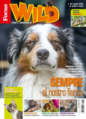 Cover of Focus Wild