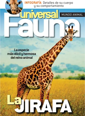 Cover of Fauna universal