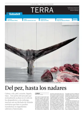 Cover of La Voz de Galicia (Viveiro) - La Voz de Galicia (OneOff ALL)