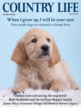 Cover of Country Life