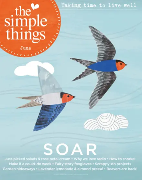 Cover of The Simple Things