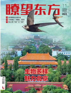 Cover of Oriental Outlook