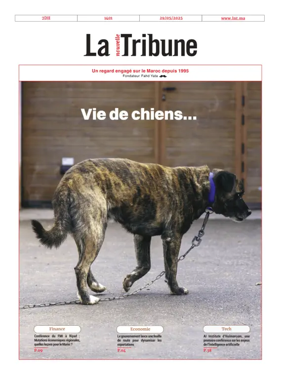 Cover of La Nouvelle Tribune