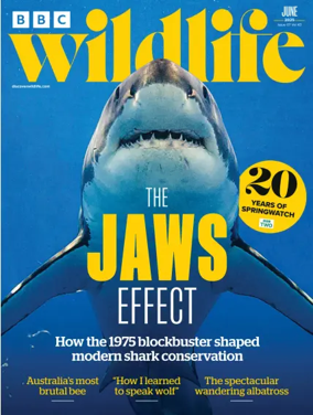 Cover of BBC Wildlife Magazine