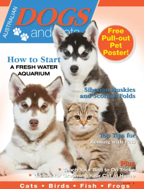 Cover of Dogs & Pets