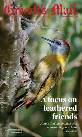 Cover of Grocott's Mail