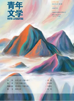 Cover of Youth Literature