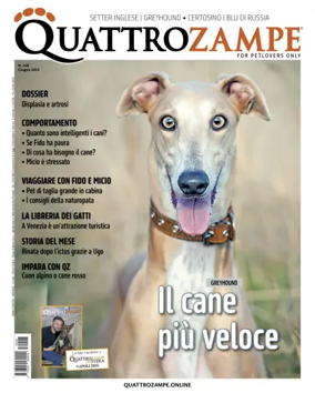 Cover of Quattro Zampe