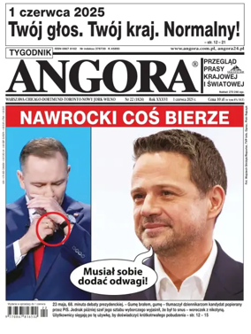 Cover of Angora
