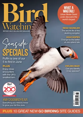 Cover of Bird Watching (UK)