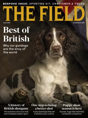 Cover of The Field