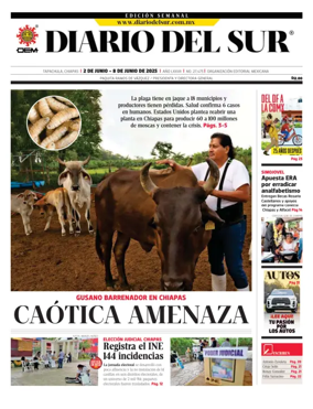 Cover of Diario del Sur