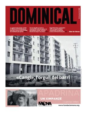 Cover of Dominical