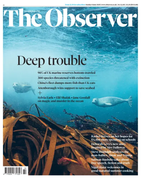 Cover of The Observer