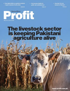 Cover of Profit