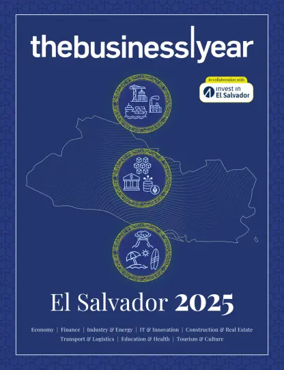 Cover of The Business Year