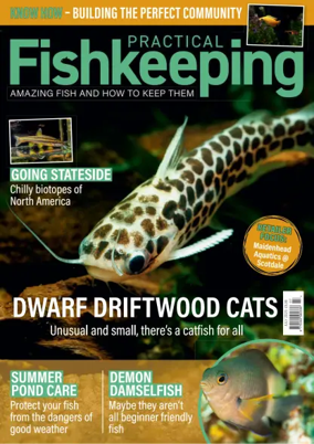 Cover of Practical Fishkeeping