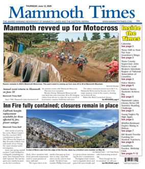 Cover of Mammoth Times