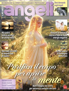 Cover of Il Mio Angelo