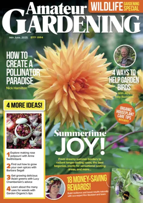 Cover of Amateur Gardening