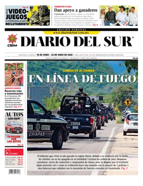 Cover of Diario del Sur