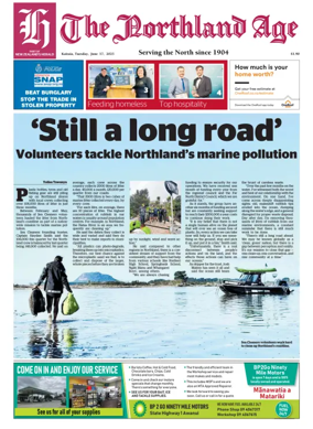 Cover of The Northland Age