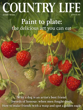 Cover of Country Life