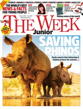 Cover of The Week - Junior
