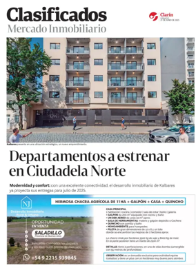 Cover of Clasificados