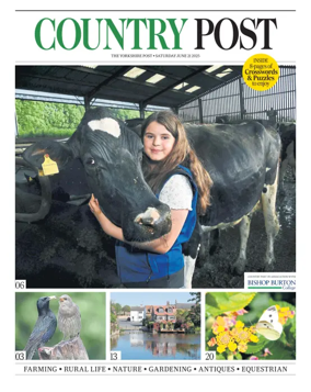 Cover of Country Week