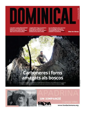 Cover of Dominical