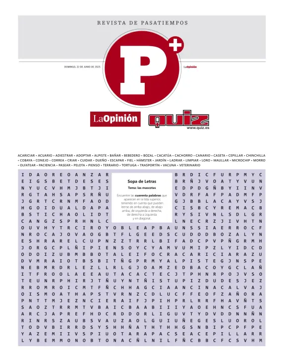 Cover of Pasatiempos