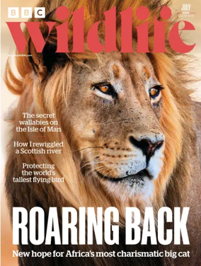 Cover of BBC Wildlife Magazine