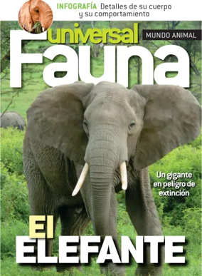 Cover of Fauna universal