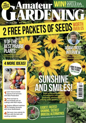 Cover of Amateur Gardening