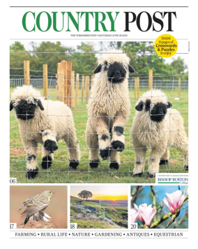 Cover of Country Week