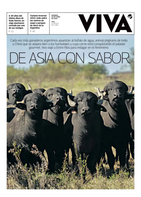 Cover of Viva