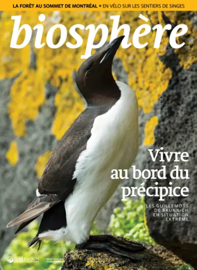 Cover of Biosphere