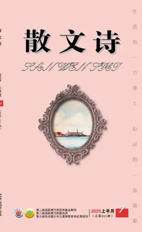 Cover of San Wen Shi