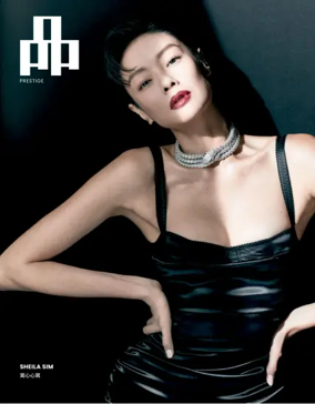 Cover of PIN Prestige (Singapore)