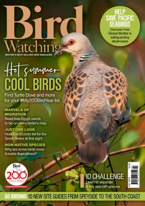 Cover of Bird Watching (UK)