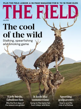 Cover of The Field