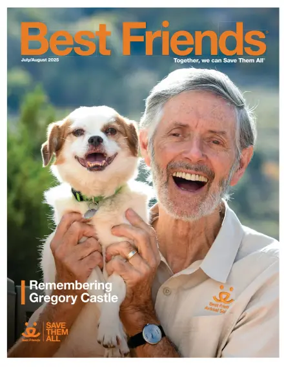 Cover of Best Friends