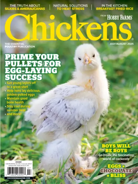 Cover of Chickens