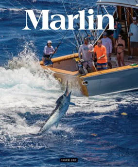 Cover of Marlin