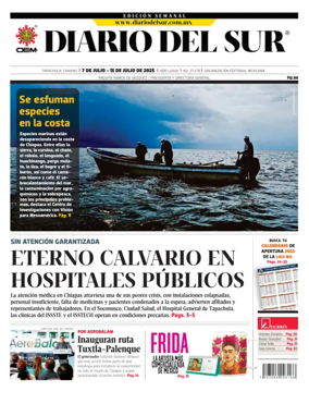 Cover of Diario del Sur